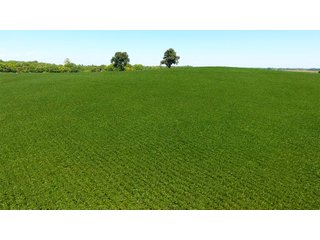 Property photo 25 - LAND AUCTION - 1,193+/- ACRES IN 14 TRACTS IN PIKE & GIBSON COUNTY, INDIANA